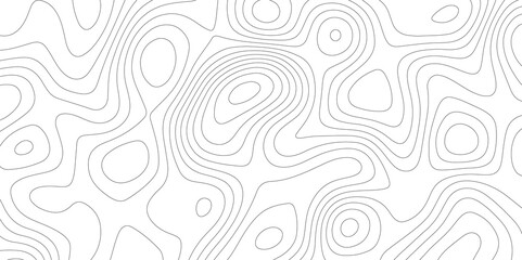 The Art of Mapping: Topology and Topography in White Vectors