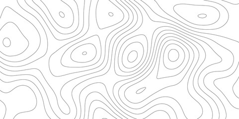 The Art of Mapping: Topology and Topography in White Vectors