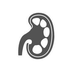 kidney icon design vector template
