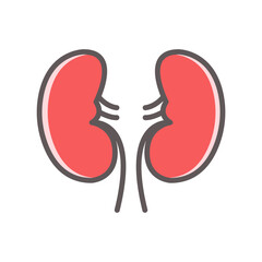 kidney icon design vector template