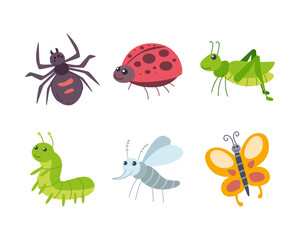 Bugs and Insect Vector Set