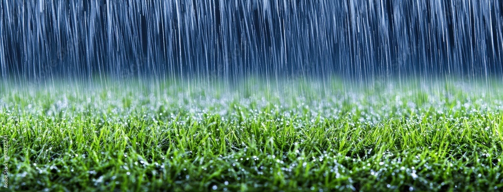 Poster rain is softly cascading onto vibrant green grass, creating a serene atmosphere. the blurred backgro