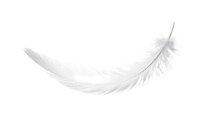 Soft White Feathers Gently Drifting Down on Transparent Background