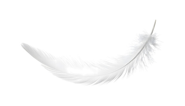 Soft White Feathers Gently Drifting Down on Transparent Background