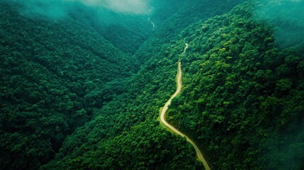 Aerial view of a winding road through lush green mountains, enveloped in mist. Perfect for nature and travel imagery.