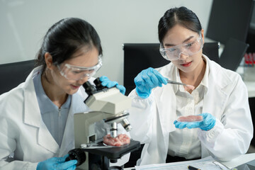 Microbiologist Working on Molecule Samples in Modern Food Science Laboratory, Control experts inspect the concentration of chemical residues. hazards, standard, find prohibited substances, contaminate