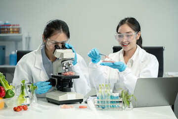 Microbiologist Working on Molecule Samples in Modern Food Science Laboratory, Control experts...