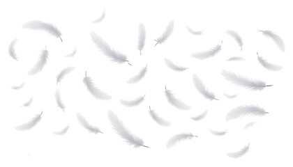 Floating White Feathers Isolated on Transparent Background
