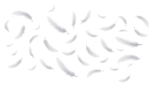 Floating White Feathers Isolated on Transparent Background