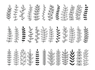 Set of doodles with laurel and floral text dividers. Branches, ornamental divider, borders, lines. Hand drawn vector illustration on white background