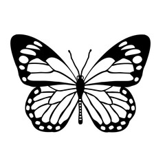 butterfly illustration in transparent png 