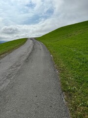 road in the countryside