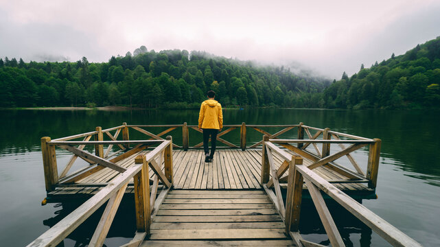 Artvin Karag&ouml;l. A man walking on a wooden pier built to see the view more clearly. The man watches the view in a quiet and peaceful area.