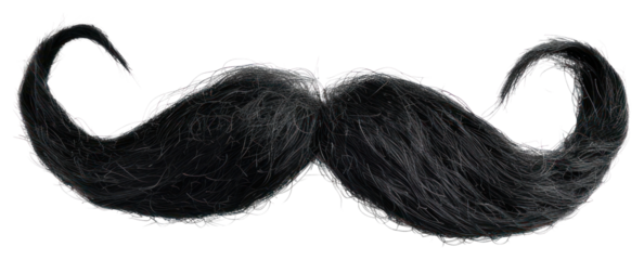 PNG Black curly fake mustache