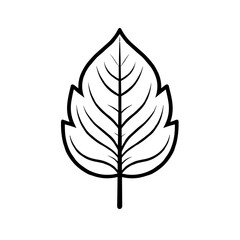 Fototapeta premium A clean, minimalistic line drawing of a leaf showcasing intricate vein details, ideal for promoting leaf essential oils or natural health solutions