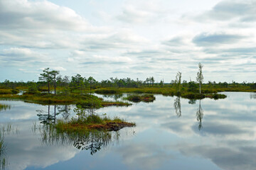 Remains of a lake on a raised bog. Reflection in the water and an amazing landscape