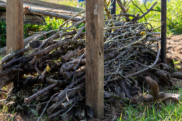Dry hedge or Benjes hedge made of maintenance pruning branches, dead wood and roots,...