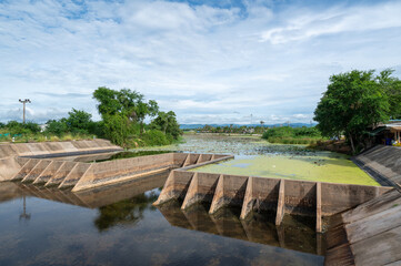 Water in the concrete weir is covered by duckweed.