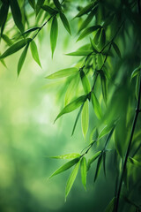 Bamboo Forest,  Ancient Chinese bamboo forest with wind blowing gently, causing bamboo leaves to flutter in a serene and tranquil scene