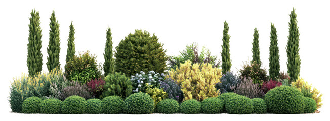 PNG Lush garden with diverse plants