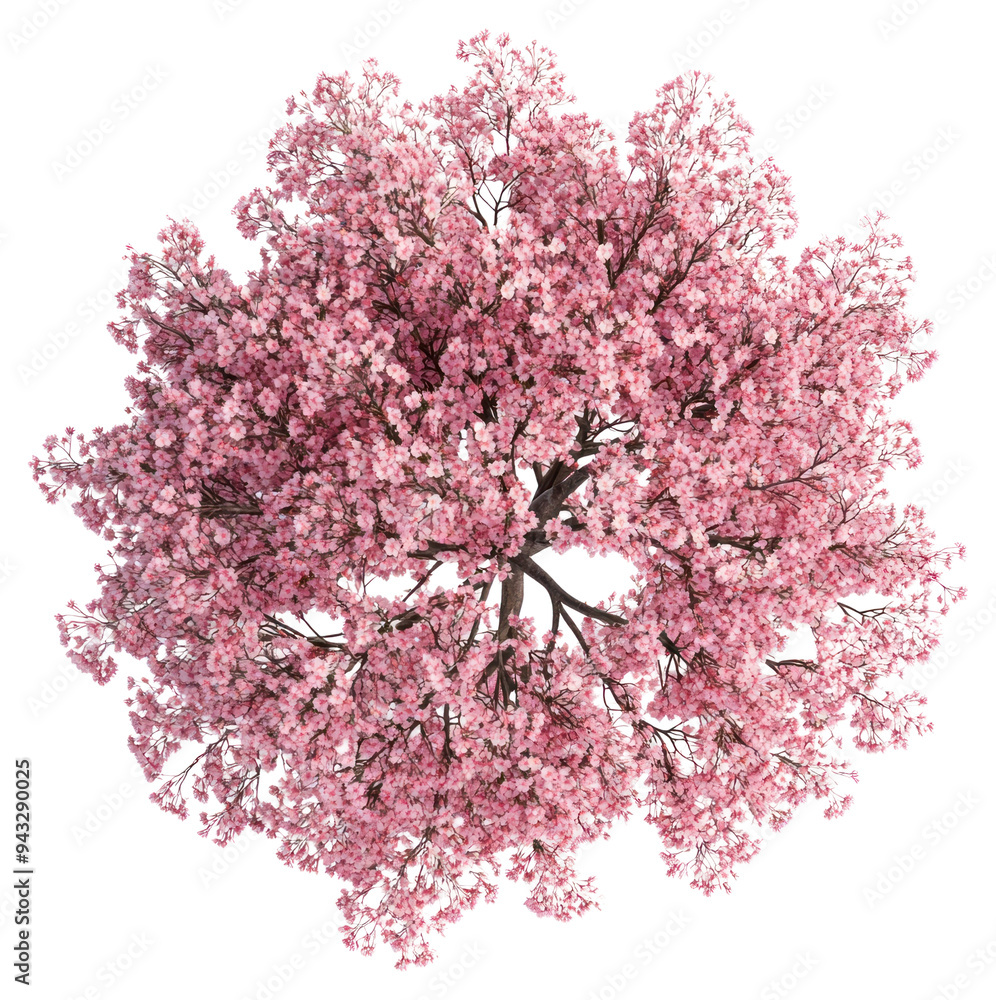 Poster PNG Blooming pink cherry blossom tree