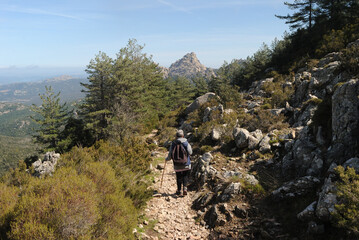 Trekking sui monti del Limbara e nei suoi boschi