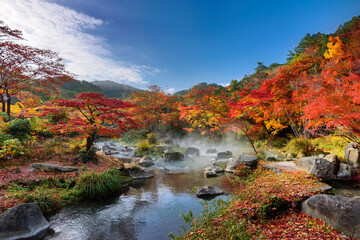 紅葉に染まる温泉