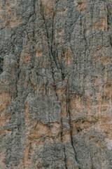 rockclimber in the rock wall 