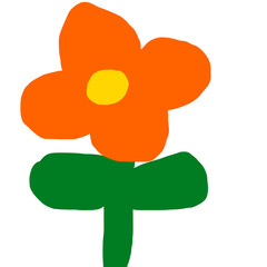 colorful flower