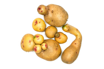 A lot of different potatoes of unusual shape on a white background. Tubers of natural potatoes top view.