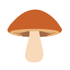 Mushroom flat design vector illustration isolated on white background.