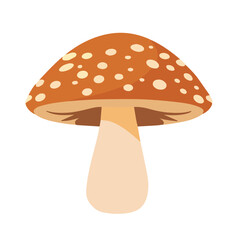 Hand drawn cartoon flat mushroom on white background.