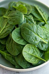 Obraz premium Fresh, Organic Baby Spinach Leaves in a Bowl A Vibrant Green, Healthy Food Background
