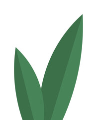 A minimalist vector image of three green leaves on a white backdrop, illustrating themes like sustainability, nature, environmental health, and ecological balance. Perfect for green campaigns.