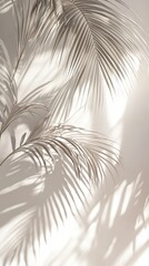 Palm leaf shadows on wall