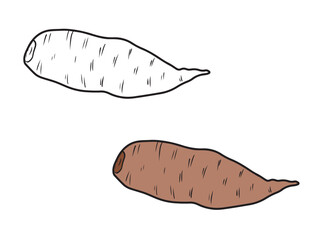 Whole sweet potato Ipomoea batatas unpeeled in black isolated on white background. Hand drawn vector sketch illustration in doodle engraved vintage line art style. Superfood, tasty vegetable