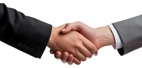PNG Hand handshake adult transparent background
