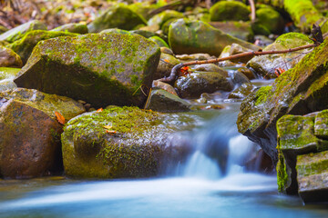 small mountain river rushing through canyon, beautiful outdoor mountain brook scene