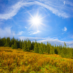 mountain valley  under a sparkle sun