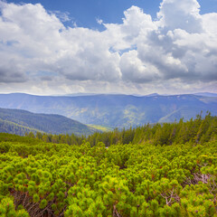 Fototapeta premium green mountain valley under a dense cloudy sky