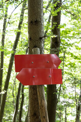 red pointer with two arrows attached to a tree in the forest. The surroundings include lush greenery and trees that filter the sunlight. One arrow points to the left, the other to the right, creating 