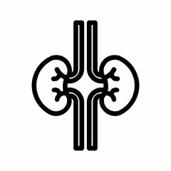 Kidney icon