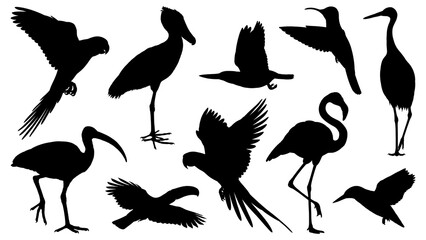 Obraz premium Black silhouette illustrations of various birds isolated on transparent background