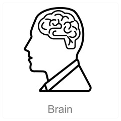 Brain