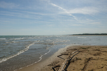 ampia vista panoramica su un'area naturale lungo la costa del mare Adriatico in Veneto, di giorno,...