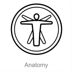 Anatomy