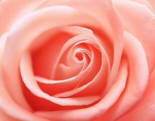 close up of one charming red rose on soft pink background