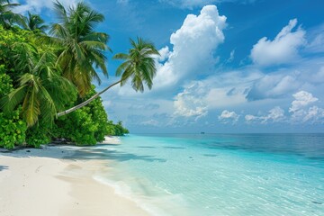 Luxurious tropical landscape. White sand with palm trees and azure sea. A heavenly place to relax....