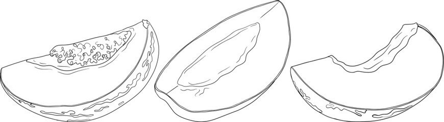 Pepino fruit, melon pear, Solanum muricatum. Vector hand drawn line illustration. Fresh pepino fruit whole, cut in half, slices.	
