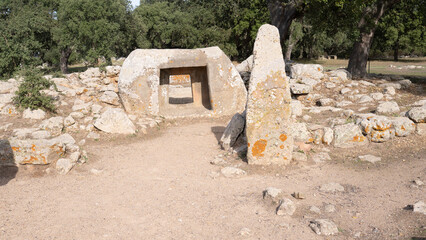 megalithic menhirs arise in the nuragic village pranu muttedu Goni
